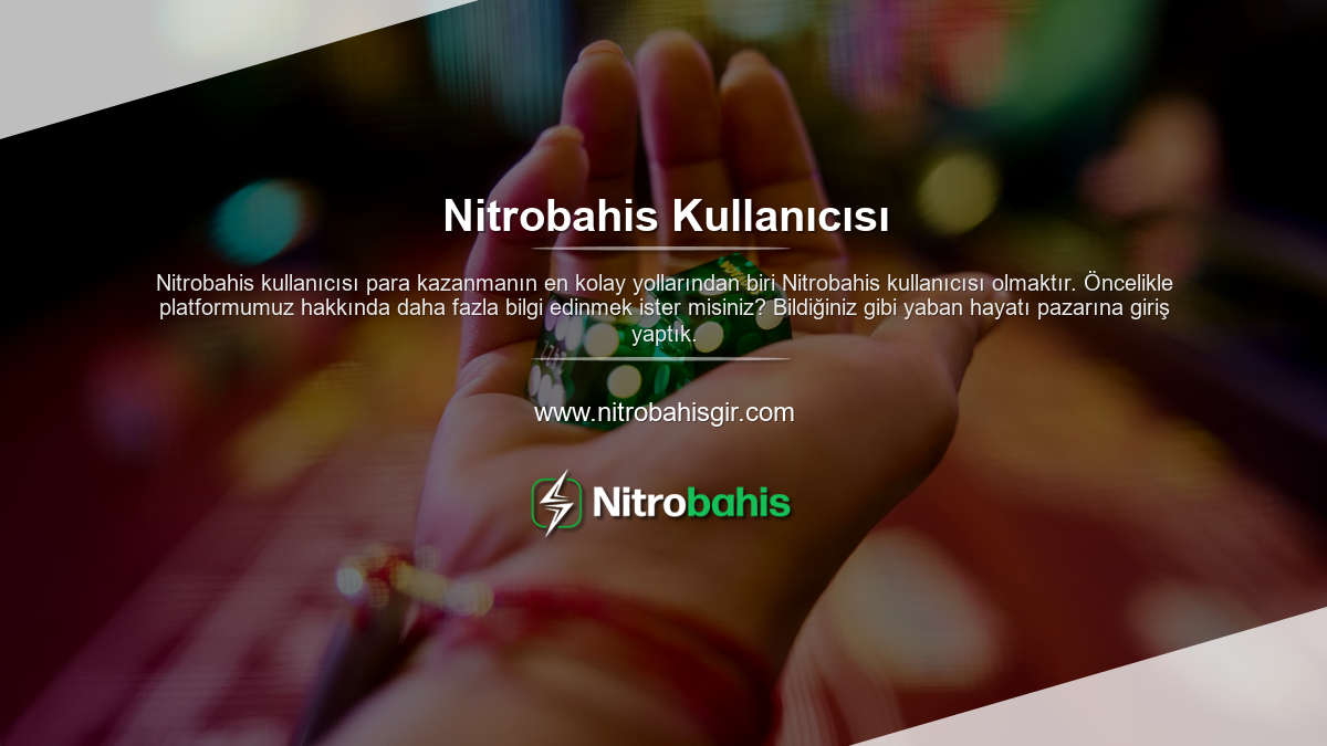 Nitrobahis Kullanıcısı
